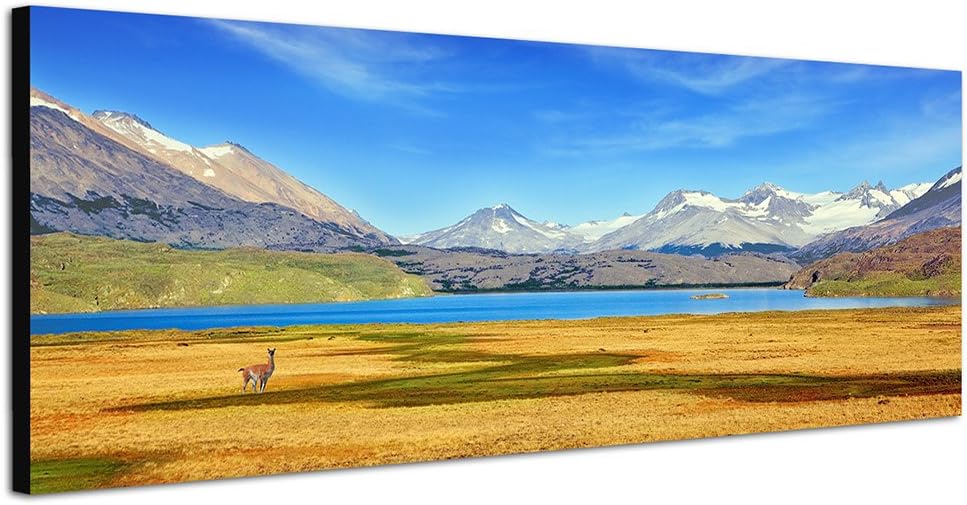 Paul Sinus Art Panoramabild auf Leinwand und Keilrahmen 150x50cm Patagonien Nationalpark Berge See W