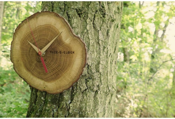 TFA Dostmann Tree-O-Clock Wanduhr aus Eichenholz, 60.3046.08, hochwertiges Uhrwerk, handgemacht in d