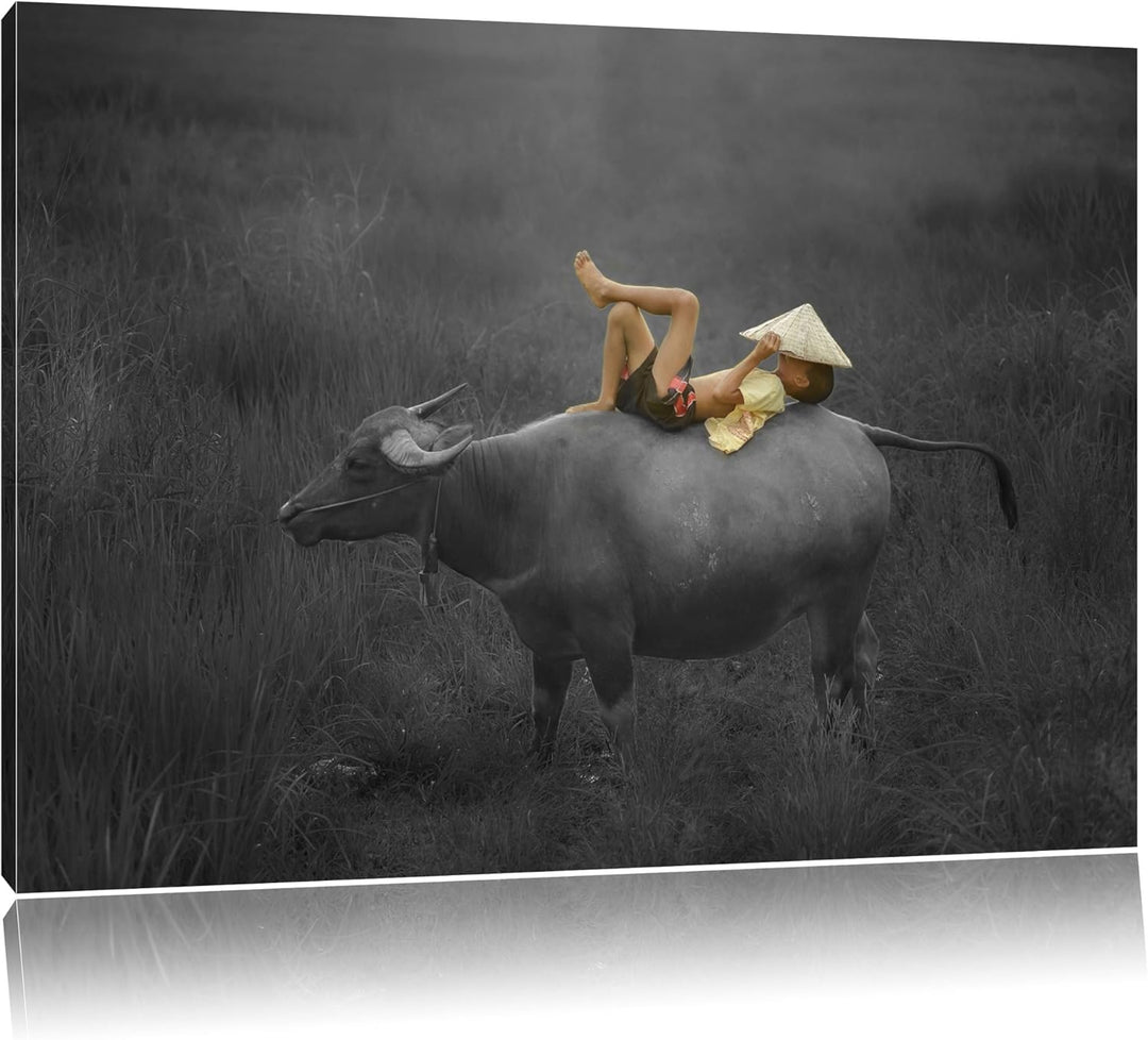 liegendes Kind auf Wasserbüffel schwarz/weiss Format: 100x70 auf Leinwand, XXL riesige Bilder fertig
