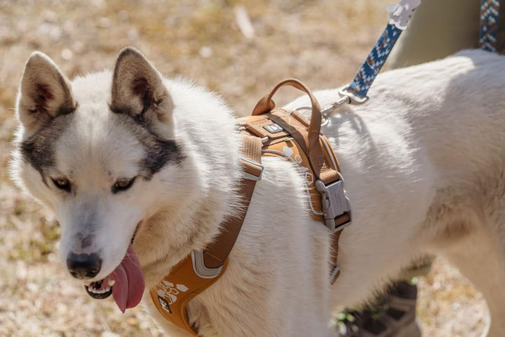 Hurtta Weekend Warrior Hundegeschirr, Brustgeschirr für Hunde, Desert-Braun, 45-60 cm Desert 45-60 c