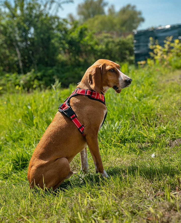 lionto Hundegeschirr gepolstert aus weichem Nylon, Grösse M, reflektierendes Anti Zug Geschirr für H