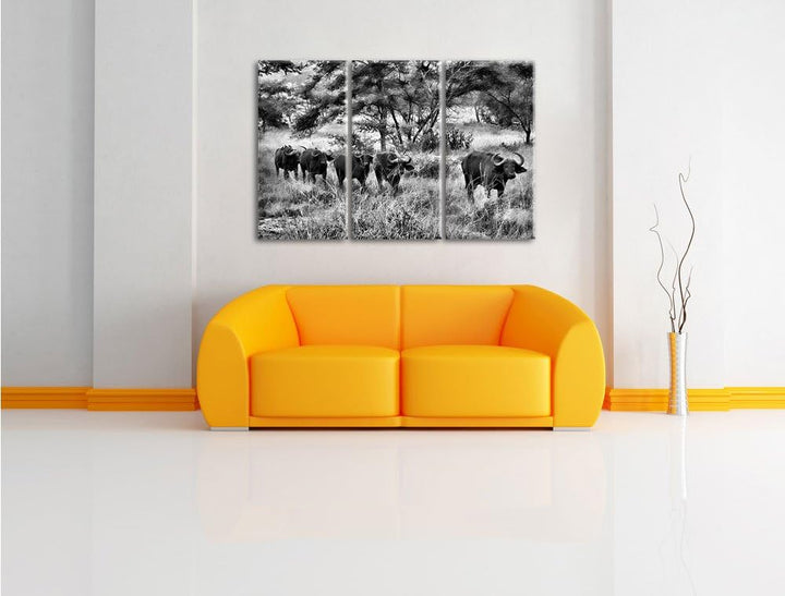 Pixxprint Monocrome, friedliche Kaffernbüffel Herde 3-Teiler Leinwandbild 120x80 Bild auf Leinwand