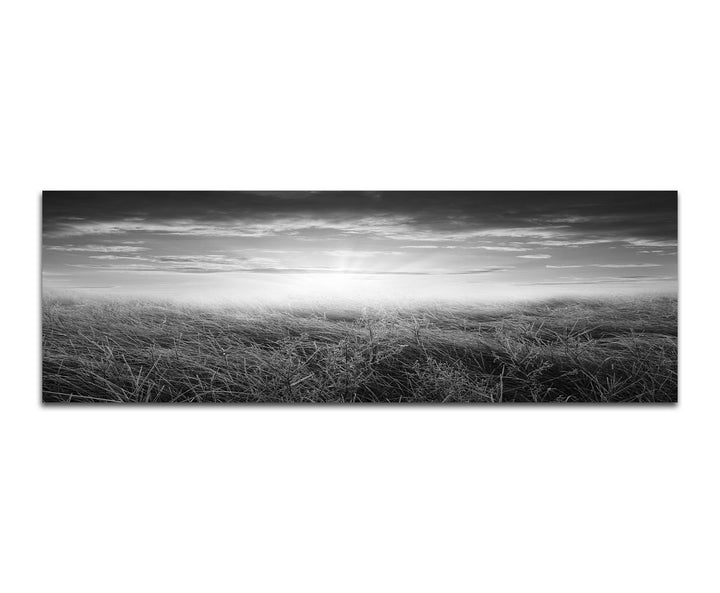 Paul Sinus Art Leinwandfoto als Panorama SCHWARZ/Weiss 150x50cm Feld Herbst Sonnenuntergang Wolken