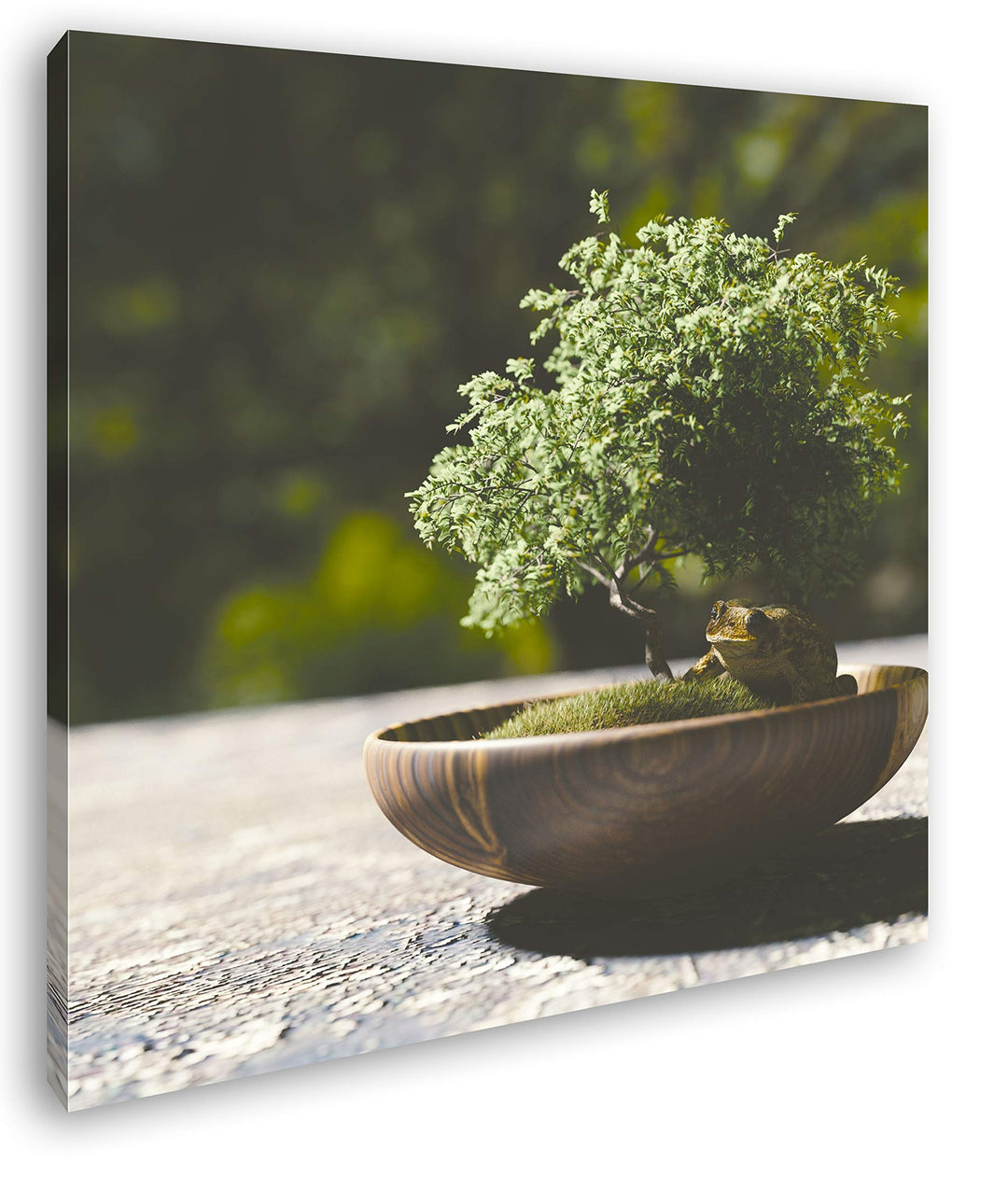 deyoli Kleiner niedlicher Bonsai Format: 70x70 als Leinwandbild, Motiv fertig gerahmt auf Echtholzra