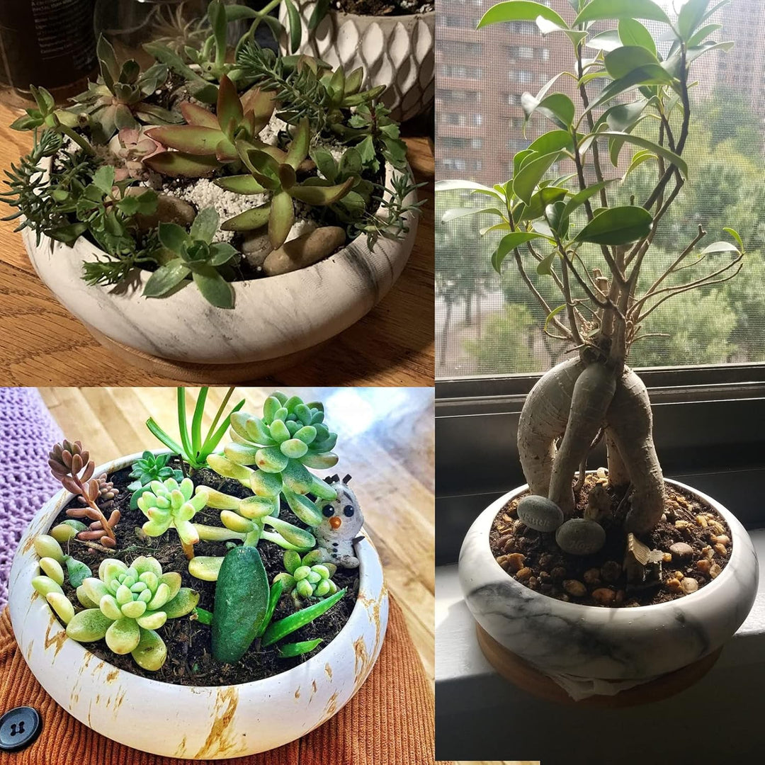 ARTKETTY 18,5 cm Rund Sukkulente Pflanzgefässe Töpfe Mit Drainageloch Bonsai Töpfe Garten Dekorative