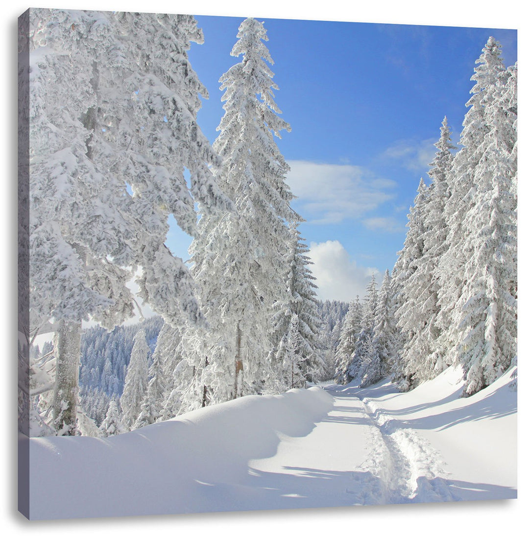 Winterlandschaft Bäume, Format: 70x70 auf Leinwand, XXL riesige Bilder fertig gerahmt mit Keilrahmen