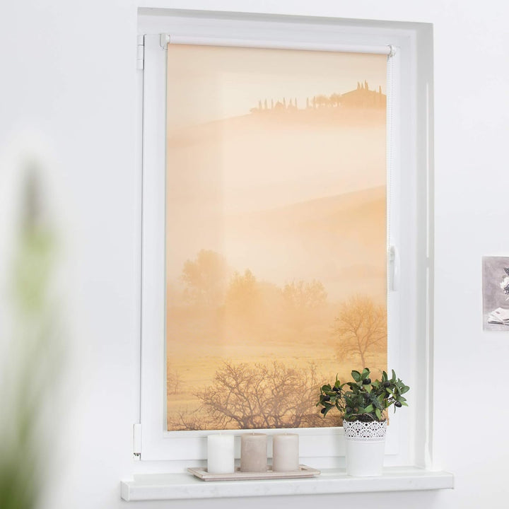 Lichtblick Klemmfix Tageslicht-Rollo mit Motiv, ohne Bohren, Blickdicht, Seitenzugrollo, Made in Ger