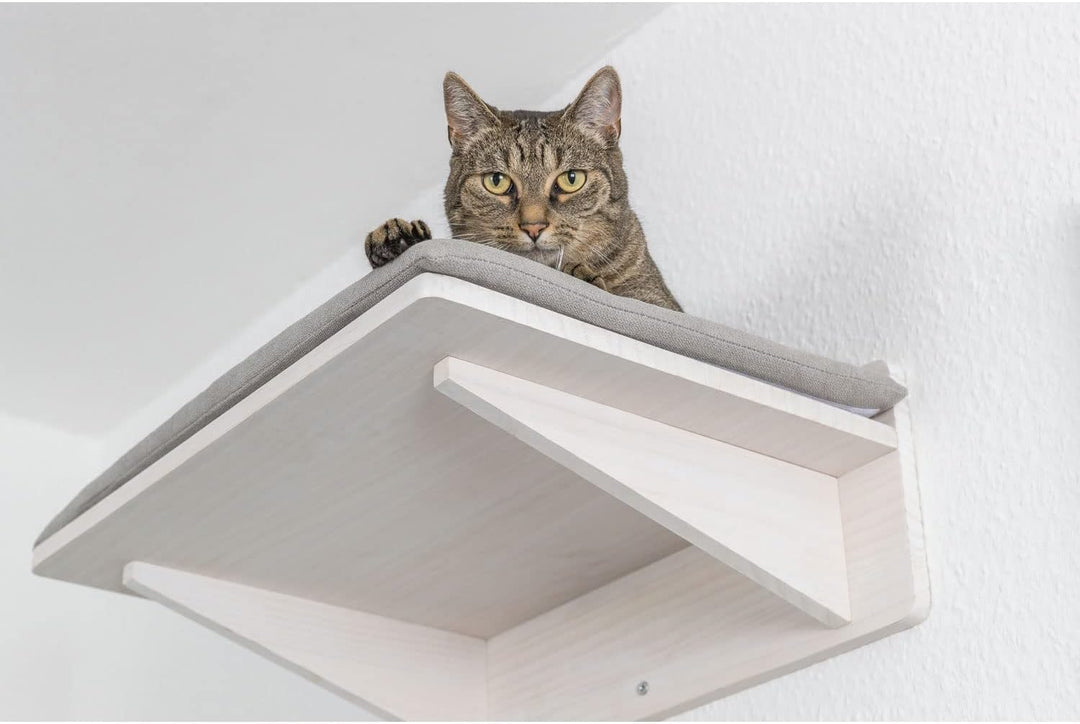 Trixie Liegeplatte zur Wandmontage