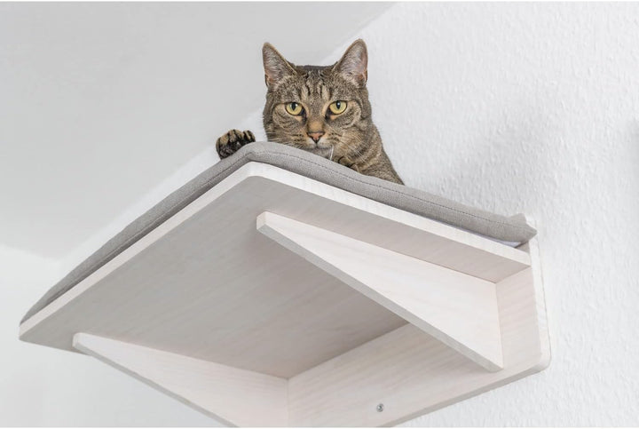 Trixie Liegeplatte zur Wandmontage