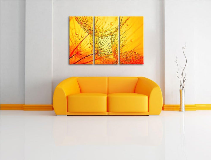 Pusteblumen Schirmflieger mit Tau Spezial 3-Teiler Leinwandbild 120x80 Bild auf Leinwand, XXL riesig
