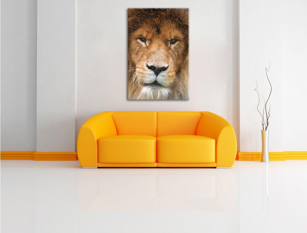 Pixxprint Kampfvernarbten als Leinwandbild | Grösse: 100x70 | Wandbild| Kunstdruck | fertig bespannt