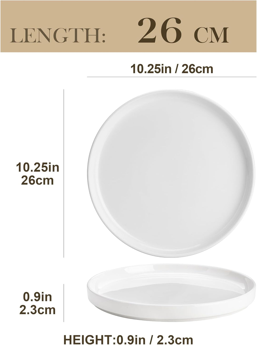 MALACASA Speiseteller 12 Personen, Ø 26 cm Grosse Teller Set aus Porzellan, 12-tlg Moderner Weisser
