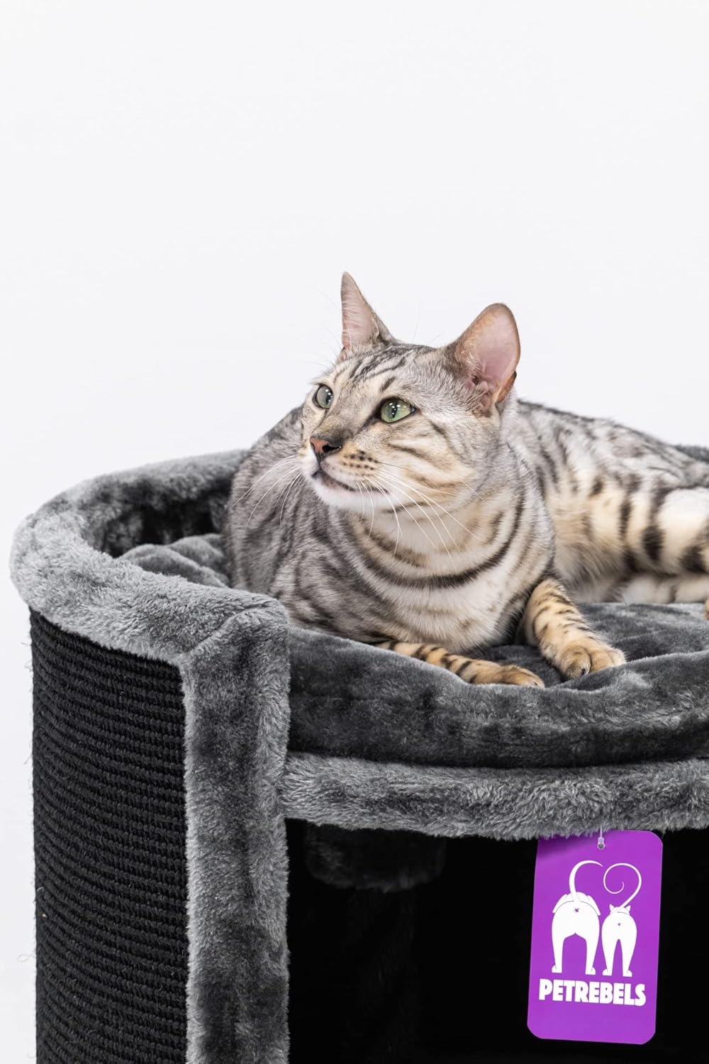 Petrebels Kratztonne XL Superdome 100 cm hoch, Ø 50 cm, Design Kratztonne für grosse Katzen, extra B
