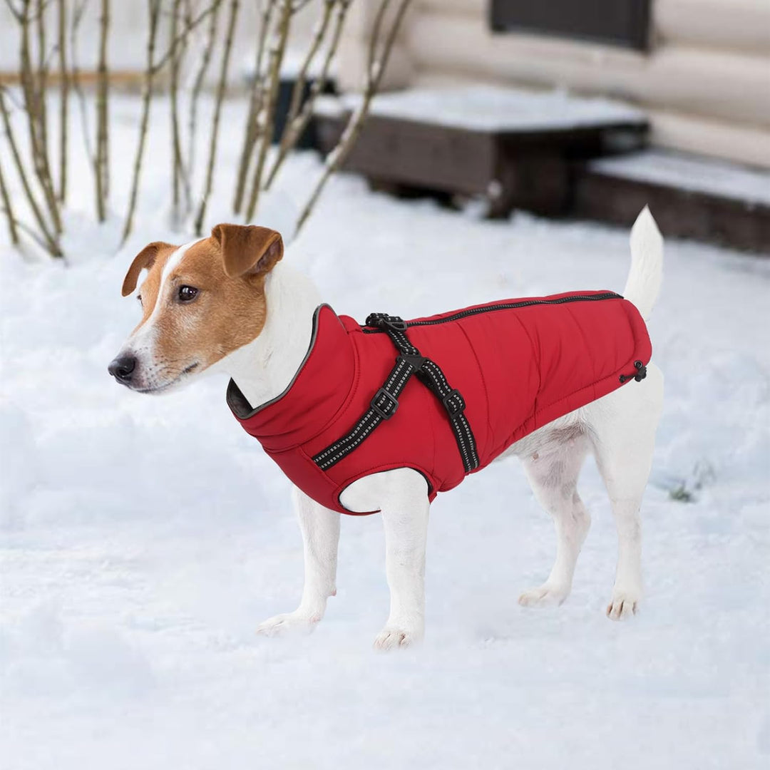 MOREZI Winterhundejacke, wasserdichte Aussenschicht, Fleecefutter, Rückenreissverschluss-Design, mit
