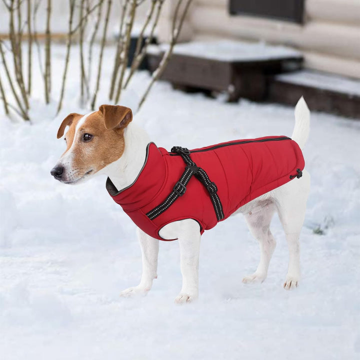 MOREZI Winterhundejacke, wasserdichte Aussenschicht, Fleecefutter, Rückenreissverschluss-Design, mit