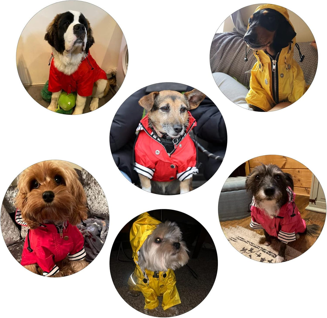 Pethiy Premium Hunde Regenmantel,Regenjacken für Hunde,wasserdicht Hundemantel mit Reissverschluss,H