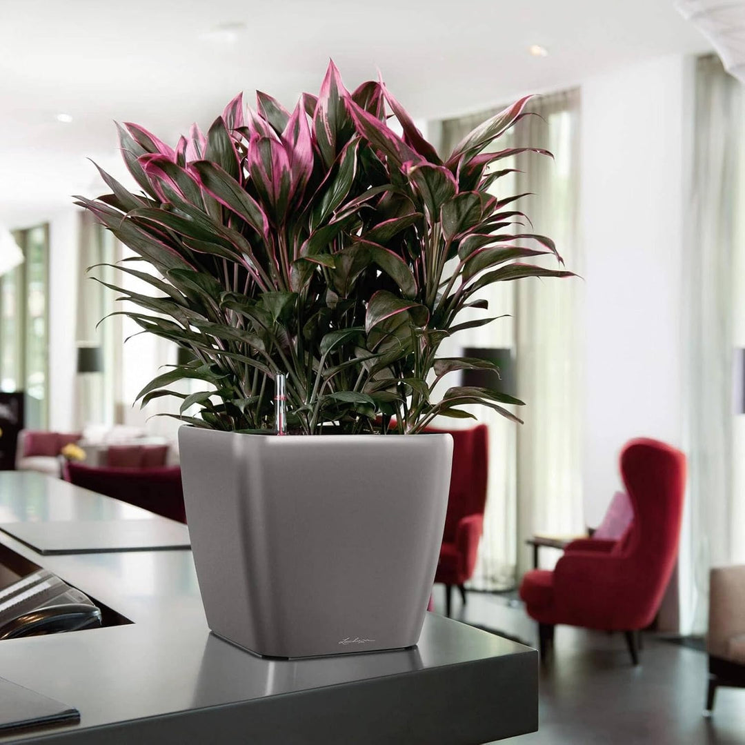 Lechuza Quadro LS 21 Komplettset anthrazit metallic 22.5x22.5x20.5 cm Anthrazit Metallic, 22.5x22.5x