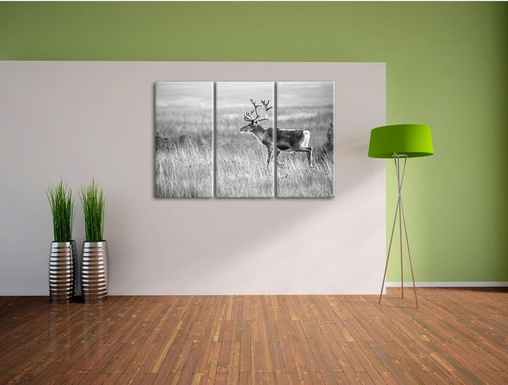 Pixxprint Rentier in Norwegen Kunst B&W als Leinwandbild/Grösse: 3 Teilig (120x80) / Wandbild/Kunstd