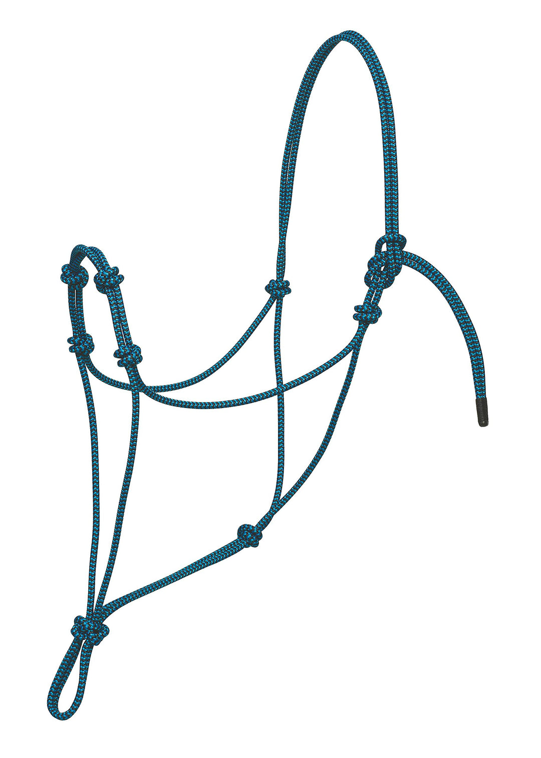 Weaver Lederhalfter mit 4 Knoten, silberfarben blau / schwarz L, blau / schwarz L