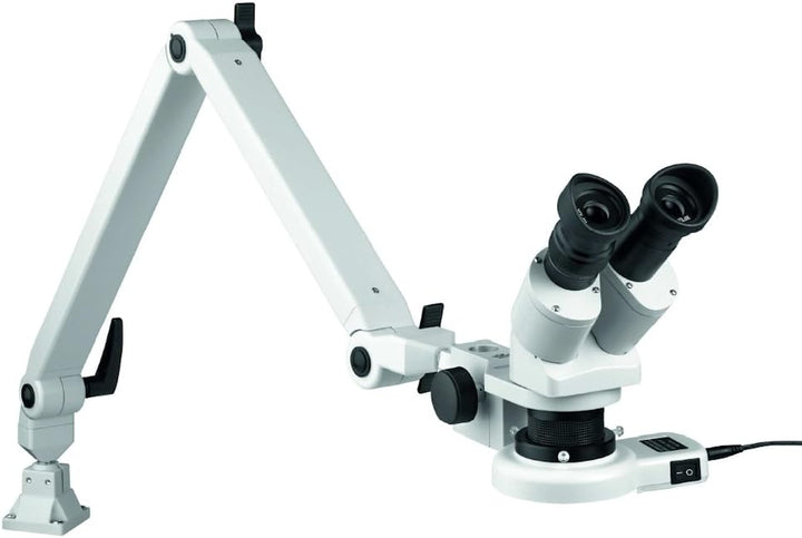 Eschenbach Optik Auflicht-Stereomikroskop mit LED-Auflicht-Ringleuchte, Vergrösserung 10x/20x, mit G