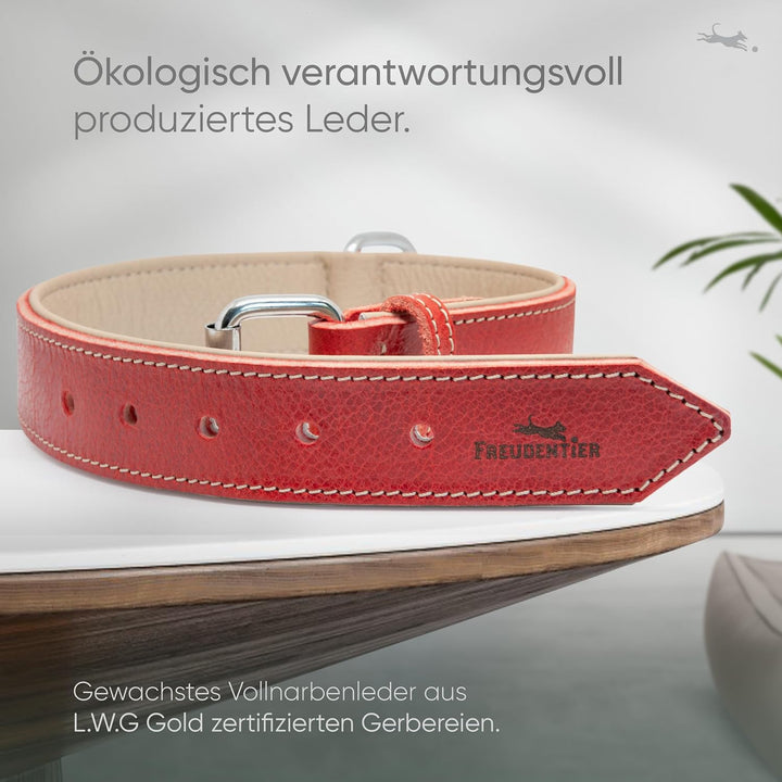 FREUDENTIER® Hundehalsband Leder, gefüttert & komfortabel, hochwertiges breites Lederhalsband aus Vo