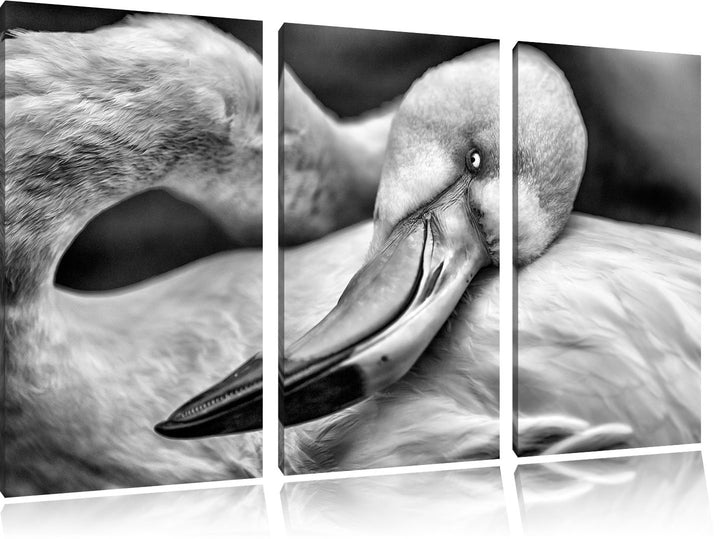 Pixxprint schöner Flamingo als Leinwandbild | Grösse: 3 Teilig (120x80) | Wandbild| Kunstdruck | fer