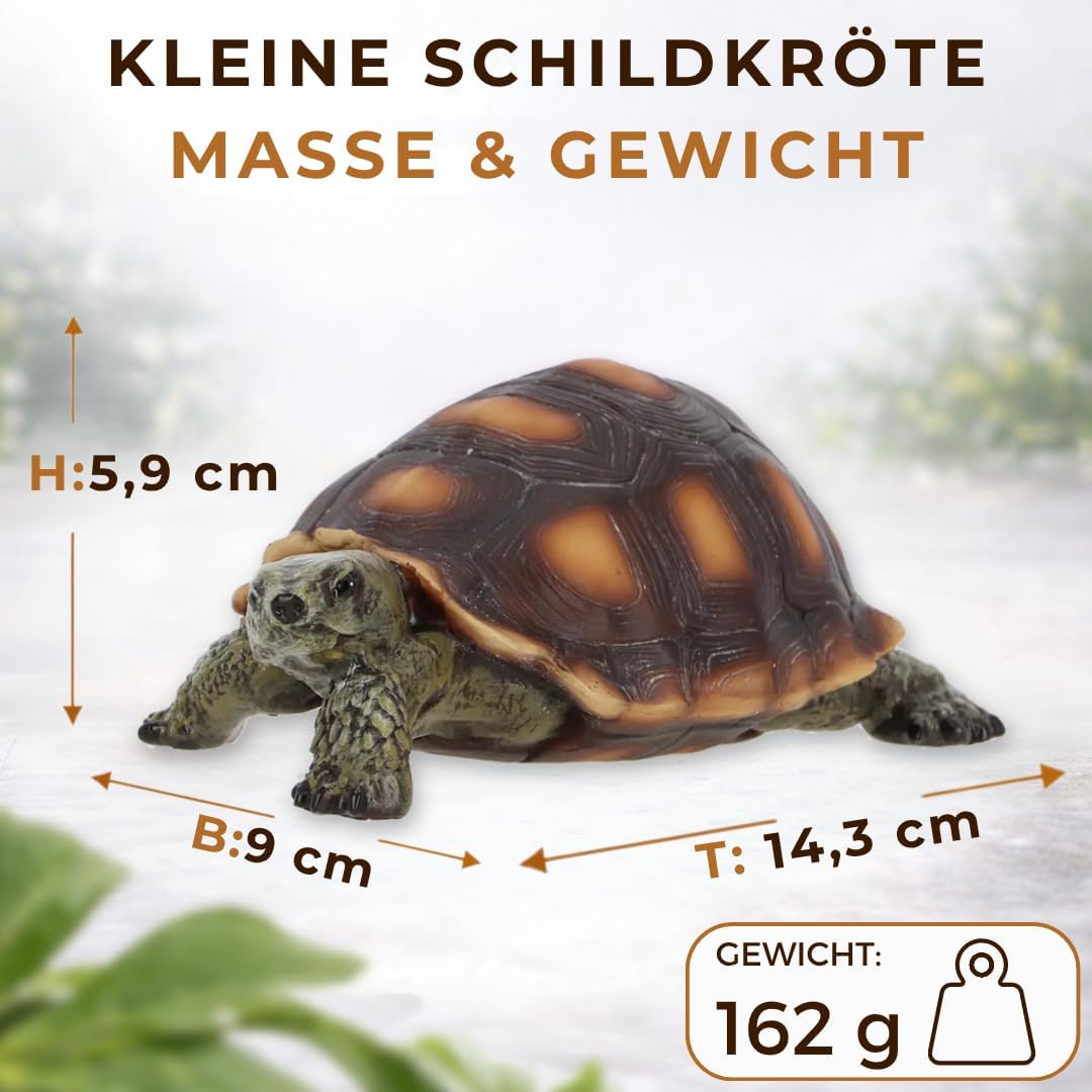 Gartenfigur Schildkröte Klein – Gartendeko aus Polyresin für Garten, Terasse und Balkon – frostbestä