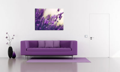 PICANOVA – Purple Lavendel 100x75cm – Premium Leinwanddruck – Kunstdruck Auf 2cm Holz-Keilrahmen Für