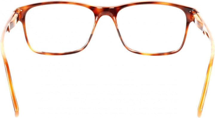 Lacoste Unisex L3649 Sunglasses 22 214 Havana, 22 214 Havana
