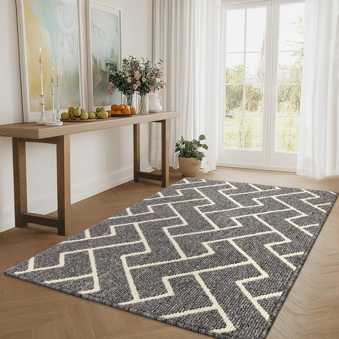 Biscpro Schmutzfangmatte 90 x 150, Rutschfestigkeit Fussmatte,Maschine gewaschen Türmatte für Hund,