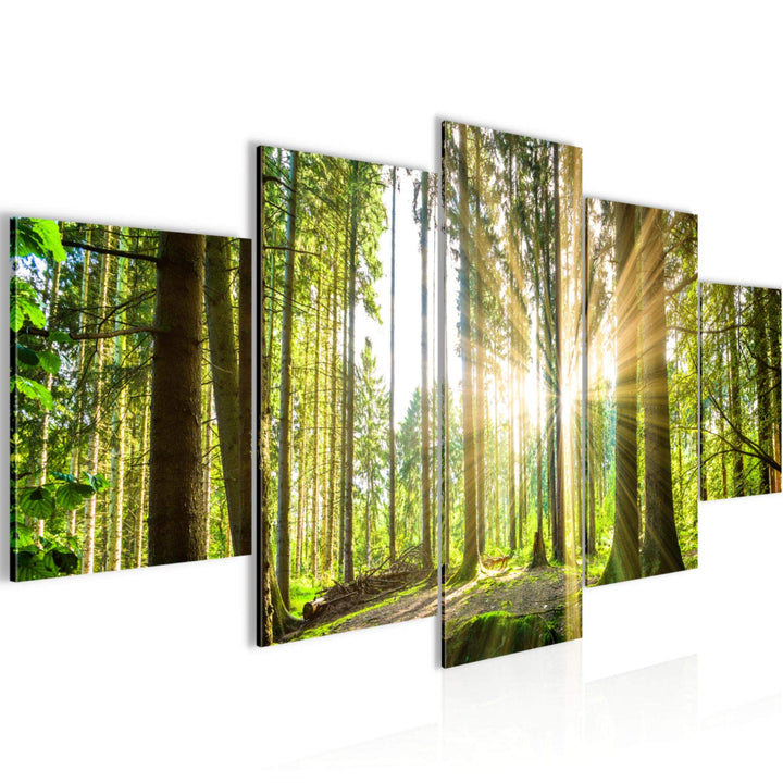 Runa Art Bild Schlafzimmer Wohnzimmer Wald Landschaft 5 Teilig Sonne Grün Wandbilder auf Vlies Leinw