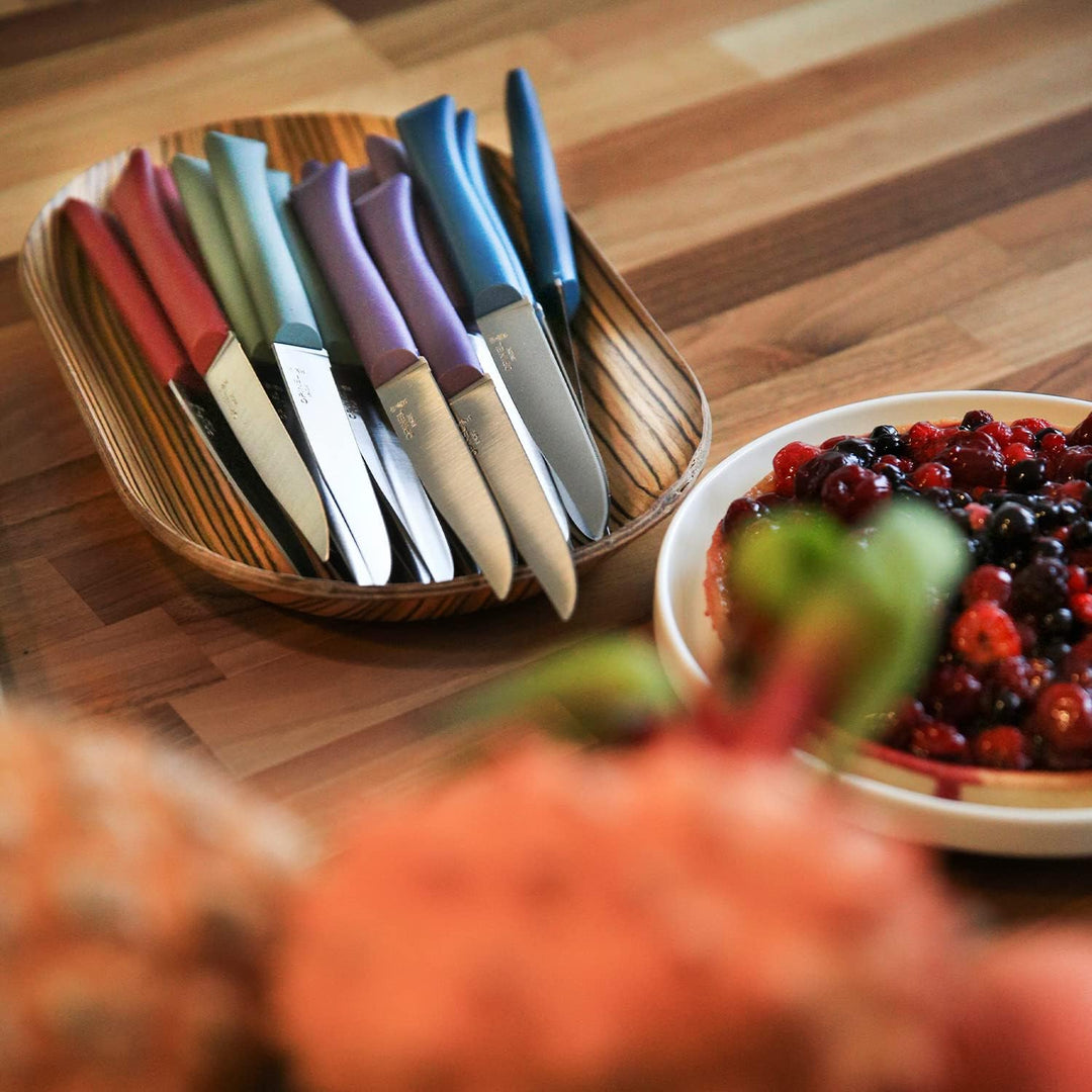 Opinel Bon Appetit+ Glam, 254501 Tafelmesser-Set, Stahl, Mehrfarbig