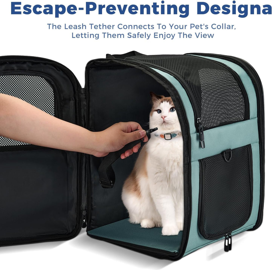 APOLLO WALKER Pet Carrier Rucksack für kleine Katzen und Hunde, Welpen, zweiseitiger Eingang, Sicher