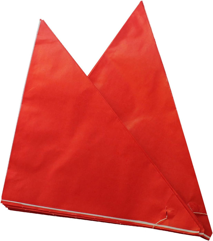 Spitztüten aus Papier Länge ca. 19 cm für ca. 125 g Inhalt - ROT (200 Stück), 200