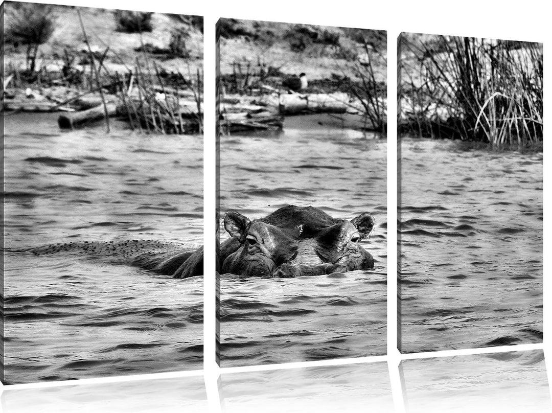 Pixxprint Monocrome, schwimmendes Flusspferd 3-Teiler Leinwandbild 120x80 Bild auf Leinwand