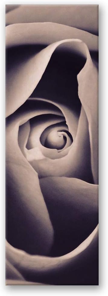 Leinwandbild XXL Rose Wandbild Kunst Natur Beige 60x150 cm Leinwandbild 60x150 cm Beige_a, Leinwandb