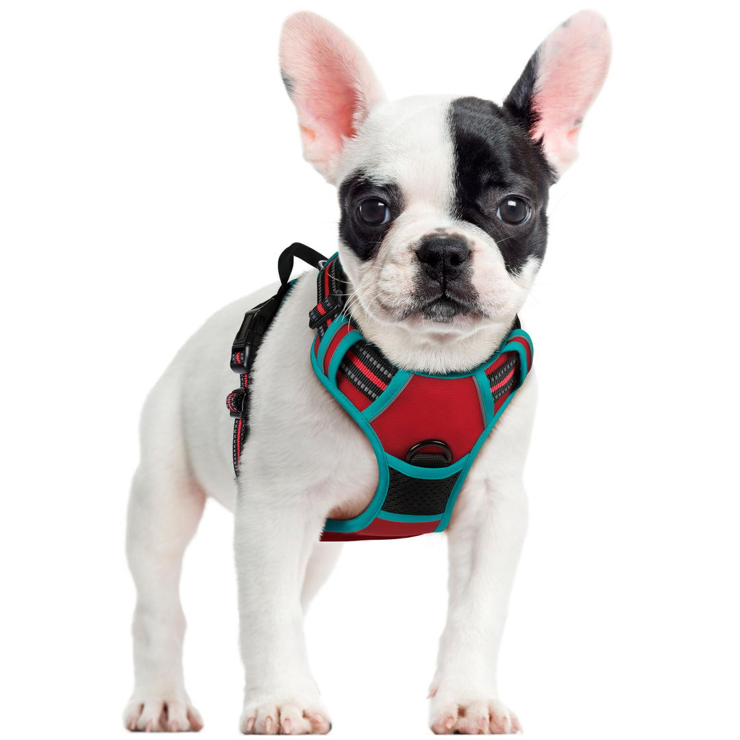 rabbitgoo Hundegeschirr Mittelgrosse Hunde, Anti Zug Geschirr mit Kontrolle, No Pull Verstellbar Hun