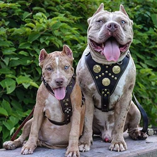Bestia Maximus Echtleder Hundegeschirr. 100% Leder Weich gepolsterte Brustplatte Handgefertigt in Eu