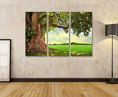 islandburner Bild Bilder auf Leinwand Alter Baum Landschaft Natur Grün 3p XXL Poster Leinwandbild Wa