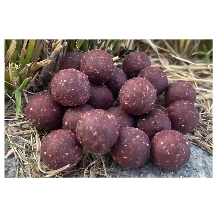 MK-Angelsport Creamy Scopex Garlic Robin Red Boilies 16mm 5kg Power Instant Boilie - Karpfenköder Fu
