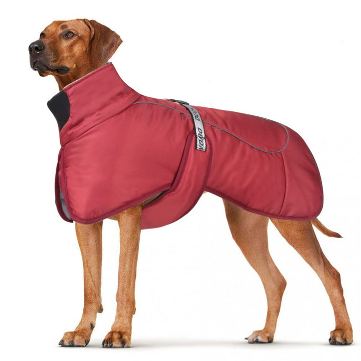 Hundemäntel Wasserdicht Winddicht Warm Winter Sicher mit Gewinde Reflektierende Streifen Jacke für M