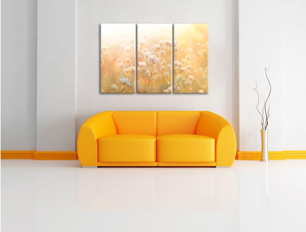 Pixxprint Romantische Blumenwiese als Leinwandbild | Grösse: 3 Teilig (120x80) | Wandbild| Kunstdruc