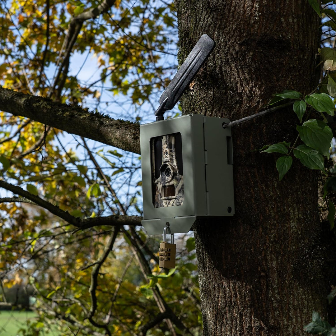 DÖRR Metallschutzgehäuse für Cloud 4G, Pro 4G & 4G Pro RC Wildkamera, Schutzbox für Überwachungskame