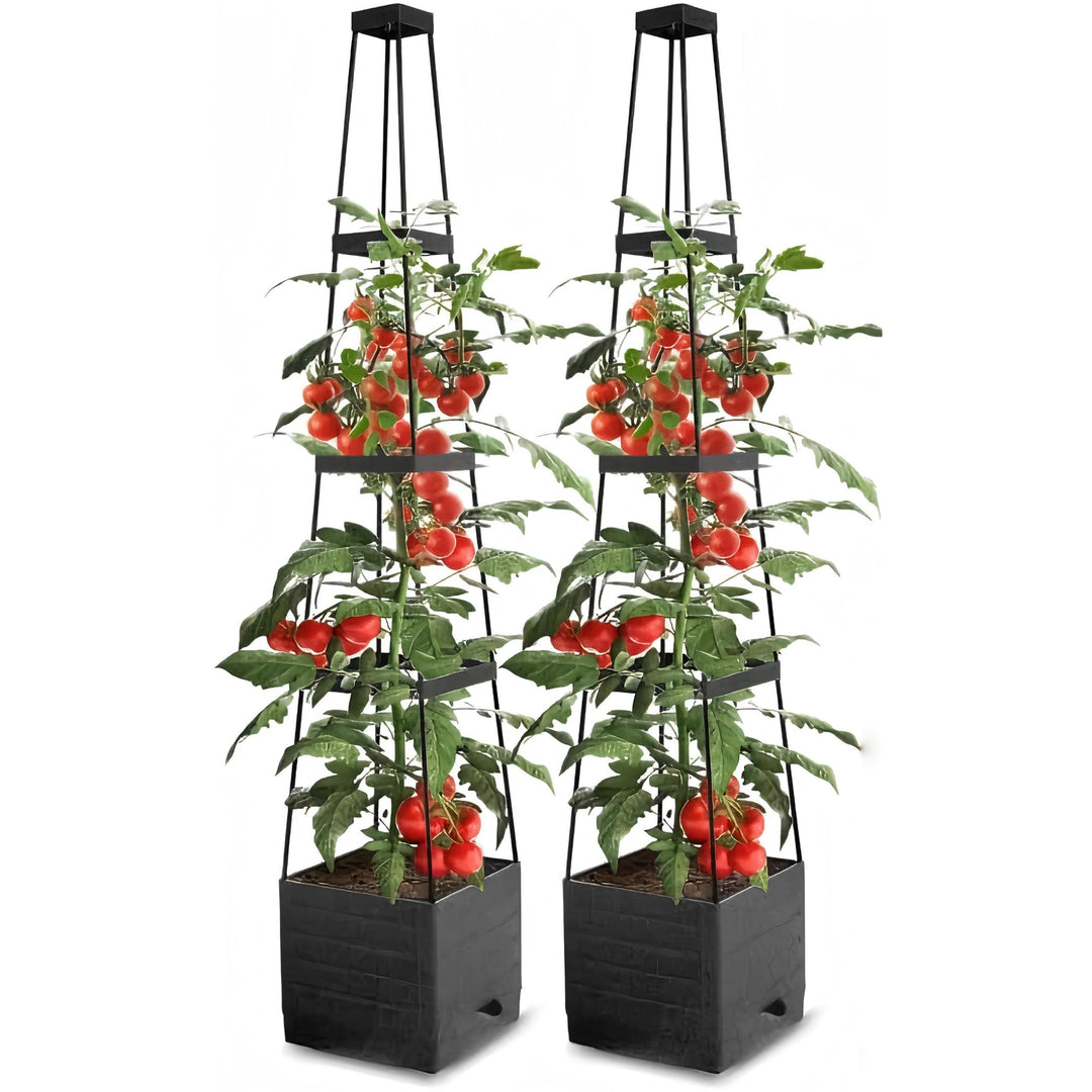 Tomatentopf mit Spalier, 2pcs Tomaten Spalier mit Pflanzer 140CM Höhe einstellbar selbstbewässernde