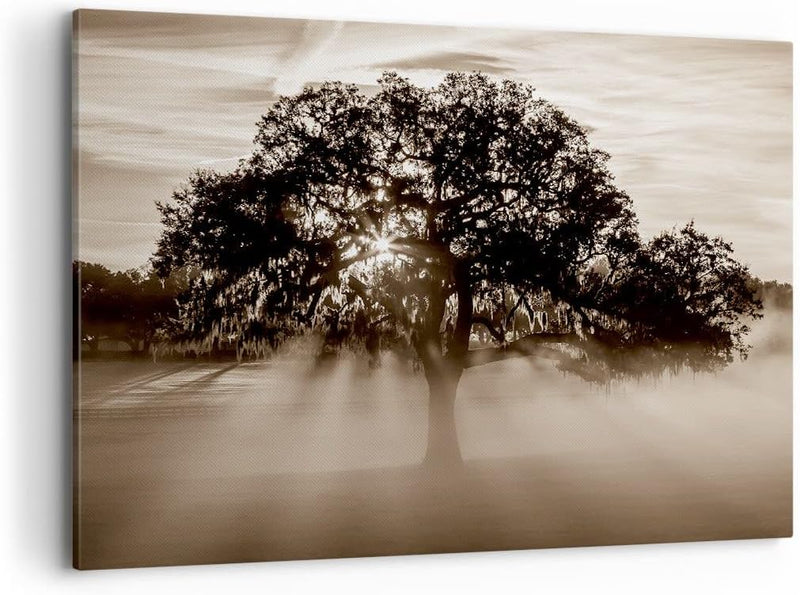 Bilder auf Leinwand 100x70cm Leinwandbild mit Rahmen Baum Feld Natur Gross Wanddeko Bild Schlafzimme