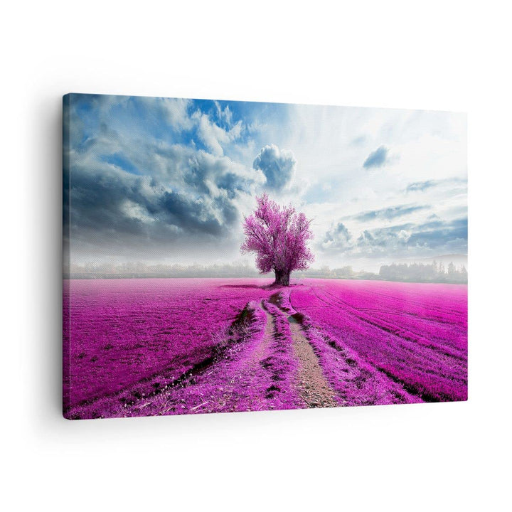 Bilder auf Leinwand Heidefeld Baum Wolken Landschaft Leinwandbild 70x50cm Wandbilder Dekoration Wohn