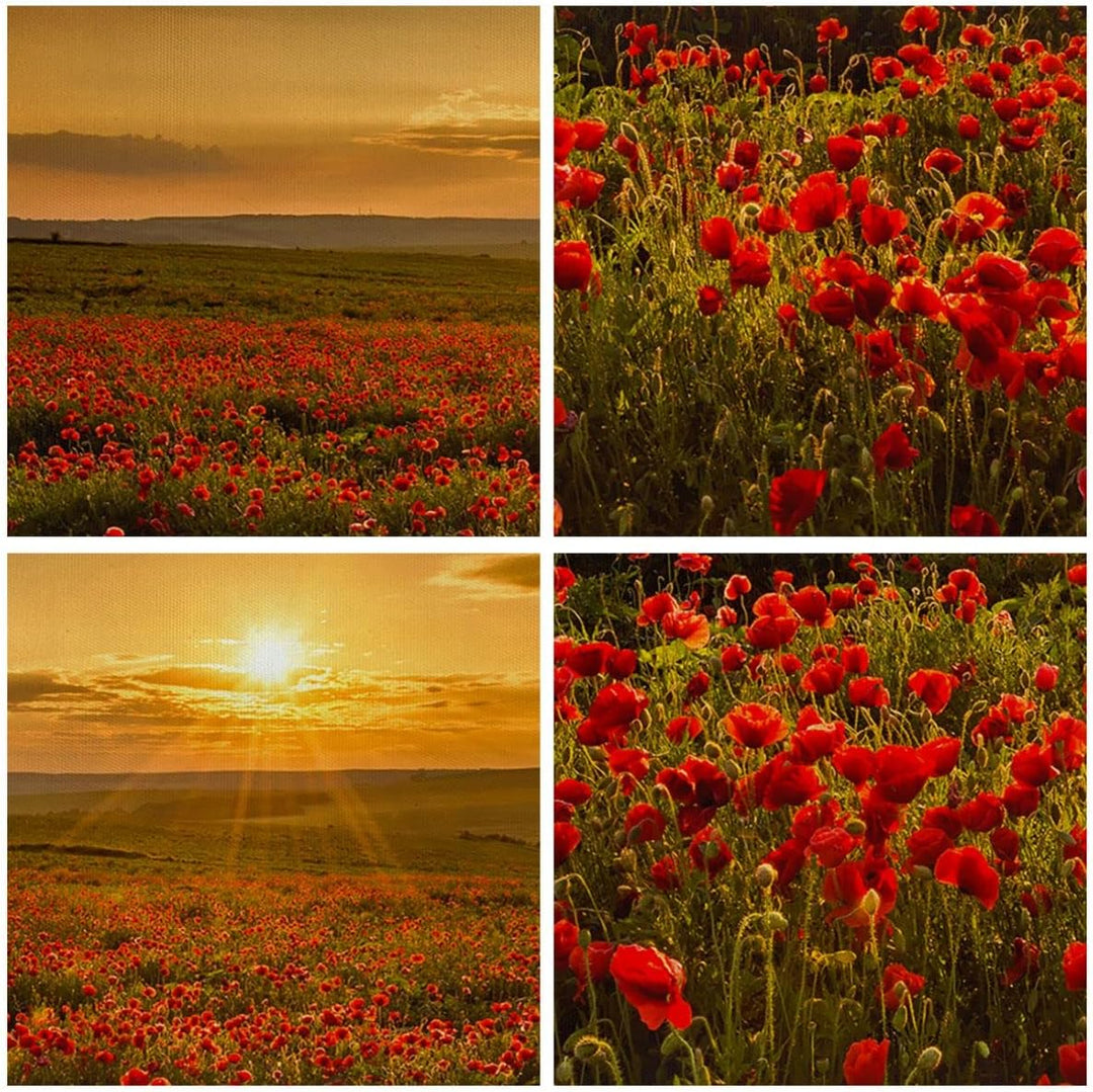 Bilder auf Leinwand Mohn Blume Wiese Leinwandbild mit Rahmen 70x50cm Wandbilder Dekoration Wohnzimme