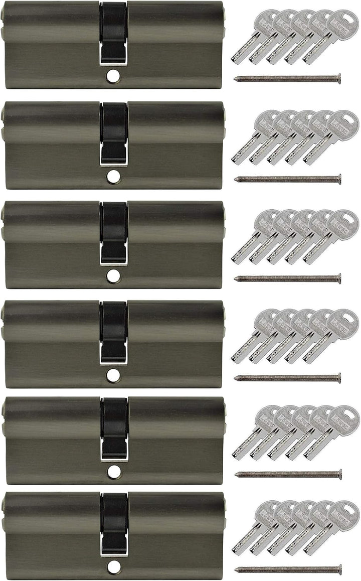 LÖWEN 60 mm 6x Zylinderschloss 30/30 Doppelzylinder gleichschliessend Massive Schliesszylinder inkl.