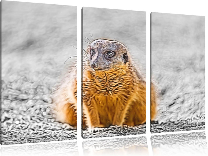 schüchternes Erdmännchen schwarz/weiss Deluxe 3-Teiler Leinwandbild 120x80 Bild auf Leinwand, XXL ri