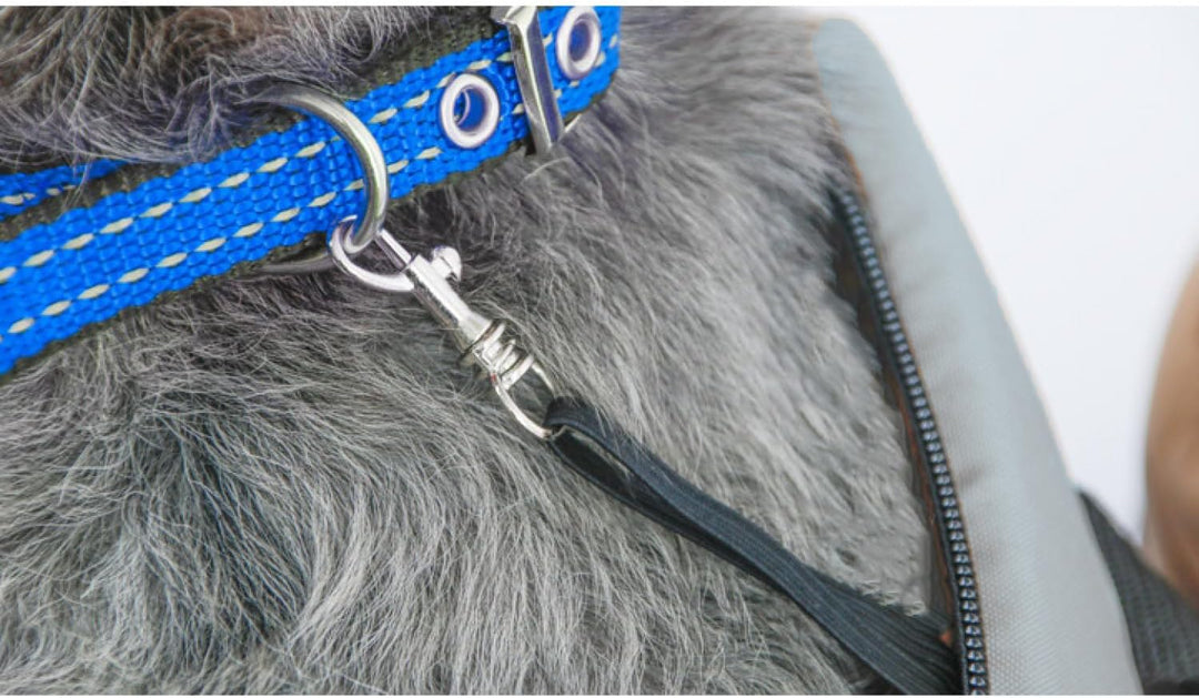 Transporttasche für Hunde und Katzen, Schultertasche für Haustiere, Hundetasche für Kleine Hunde, Le